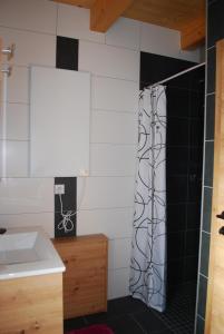 圣科卡瑟林奥夫Ferienhaus Schirgi的带淋浴和盥洗盆的浴室