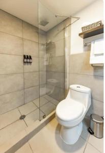 克萨尔特南戈Central Park Jr. Suites的一间带卫生间和玻璃淋浴间的浴室