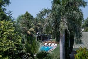 萨瓦伊马多普尔Hotel Ranthambore Regency的棕榈树旁的游泳池边设有躺椅