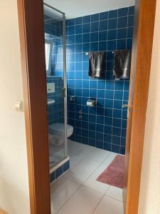 索嫩比赫尔Pension zur Sonnenalb的蓝色瓷砖浴室设有卫生间和玻璃淋浴间。