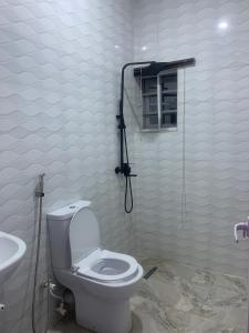 拉各斯BLUE AO HOTEL的一间带卫生间和淋浴的浴室