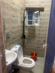 拉各斯BLUE AO HOTEL的一间带卫生间和水槽的浴室