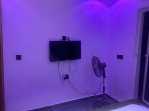 拉各斯BLUE AO HOTEL的紫色客房配有电视和风扇