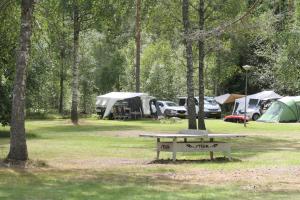 ÅnimskogIngerichte safaritenten aan Zweeds meer op Betteld Sweden的草原上带帐篷和长凳的公园