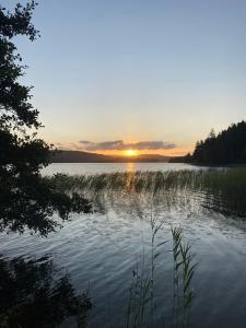 ÅnimskogIngerichte safaritenten aan Zweeds meer op Betteld Sweden的海面上高大的草的日落