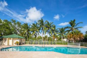 基韦斯特The Tortuga by Brightwild-Pool, Parking & Pets!的一座棕榈树环绕的游泳池