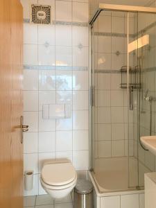 布里格Spacious and charming duplex in the centre of Brig的一间带卫生间和淋浴的浴室