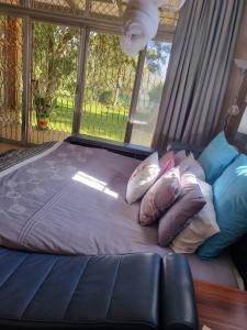 布拉瓦约The Villa的窗户间内的一张带枕头的床