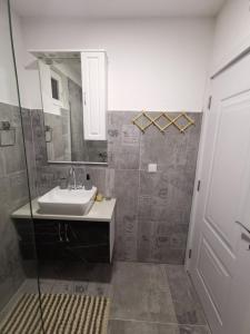 波德戈里察IN Apartments AirPort的浴室配有盥洗盆和带镜子的淋浴