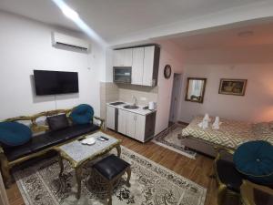 波德戈里察IN Apartments AirPort的带沙发的客厅和厨房