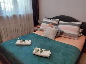 华沙戴明思佳公寓 的床上有三个枕头