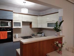 华沙戴明思佳公寓 的厨房配有白色橱柜和台面