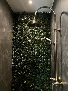 ArsimontCoeur Nature的一间带淋浴的浴室和绿色的墙壁