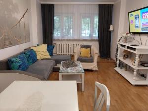 华沙戴明思佳公寓 的带沙发和电视的客厅