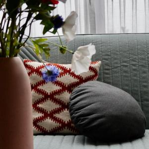 Appeltern默尔克莫伦酒店的一张带枕头的沙发以及花瓶