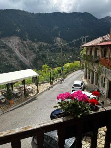 ProusósVia Ferrata Hotel的阳台上可欣赏到鲜花盛开的街道景色