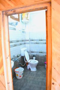 ToshPahadi Bliss Hostel ,Tosh的一间带卫生间和水槽的浴室