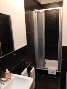 柏林博尔豪斯柏林旅舍的一间带水槽和玻璃淋浴的浴室