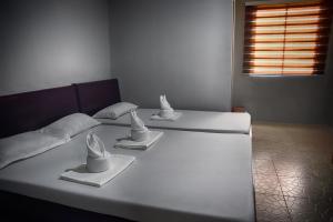第波罗Bethany Suites的一间卧室设有两张带白色床单的床和窗户。