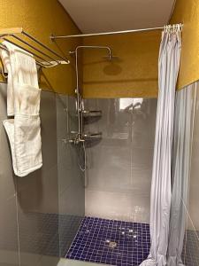 帕拉佩Oakwood Guest House的带淋浴和浴帘的浴室