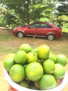 斋浦尔The Bainada farm的一大碗绿色水果,后面有一辆红色汽车
