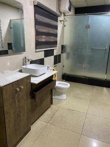 拉各斯PRESKEN CASTLE的浴室配有卫生间、盥洗盆和淋浴。