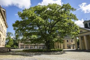 施韦特Haus Villigst - Tagungsstätte der EKvW的大楼前的一棵大树