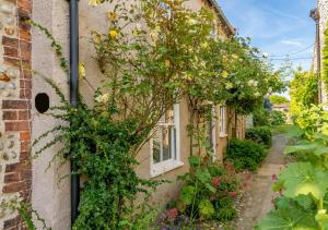 布莱克尼Parsley Cottage的常春藤覆盖的建筑,有窗户和鲜花