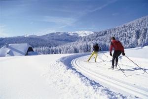 申瓦尔德Urlaub auf 1.000 Meter Höhe mit Pool und Sauna的两人在雪覆盖的斜坡上越野滑雪