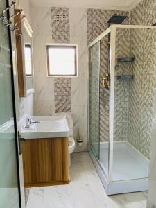 卢萨卡Perchment view Apartment的一间带水槽、淋浴和卫生间的浴室