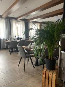 索嫩比赫尔Pension zur Sonnenalb的一间设有桌椅和盆栽的餐厅