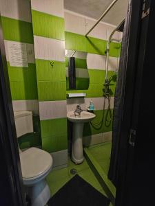 伯伊莱海尔库拉内Casa Miclau的绿色和白色的浴室设有卫生间和水槽