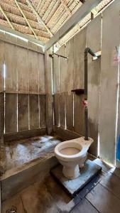 Puerto FrancoCampamento Txoko de Shapshico的一间肮脏的浴室,内设卫生间