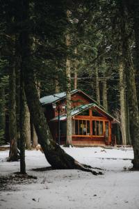 乌鲁达Karinna Orman Koskleri的地面上积雪的树林中的小木屋