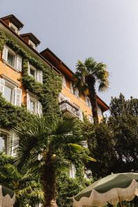 博尔扎诺Parkhotel Mondschein, a Member of Design Hotels的前面有棕榈树的建筑