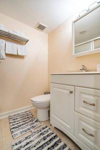 费城A modern suite nestled in a peaceful neighborhood的一间带卫生间、水槽和镜子的浴室