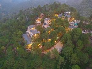 卡绍利Jungle Lodge Resort的树林中房屋的空中景观