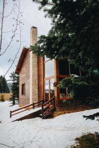 乌鲁达Karinna Orman Koskleri的雪地里的小木屋,有树