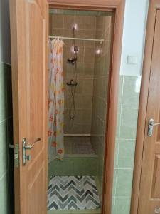 利沃夫Hostel Iskra的带淋浴和浴帘的浴室