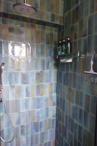 邦多勒Les jardins de Bandol, piscine et mer的浴室设有蓝色和棕色瓷砖淋浴。