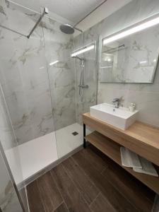 日安Brit Hotel Confort Gien的一间带水槽和淋浴的浴室