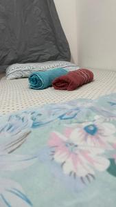 尤西德福拉Park marilandia 507的床上有两张枕头,有毯子