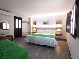 扎哈拉Alojamiento LA JARANA的一间卧室配有一张带绿毯的大床