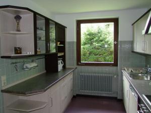 NeuglashüttenHaus Elisabeth - Ferienwohnung Hirschsprung, 2 Schlafzimmer, Feldberg的厨房设有水槽和窗户。