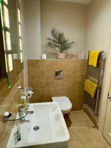 恩尼斯基林3 Castle Hume Court Holiday House的浴室配有白色水槽和卫生间。