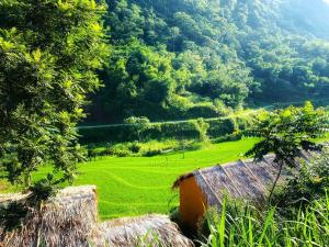 Hương Bá ThướcPu Luong Riverside Lodge的一片绿地,前方有干草