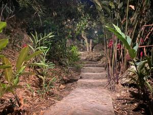 米卡Masaya Casas Viejas的花园的石头路径