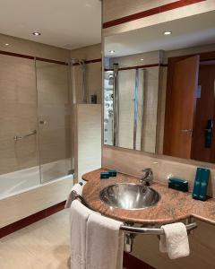 奥维多西尔肯纳兰科纪念碑酒店的一间带水槽和淋浴的浴室