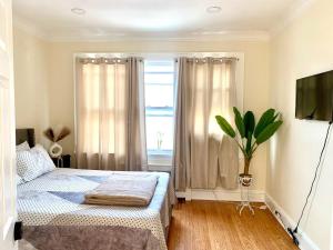 克利夫顿Suite Dream Clifton 27的一间卧室设有一张床和一个窗口