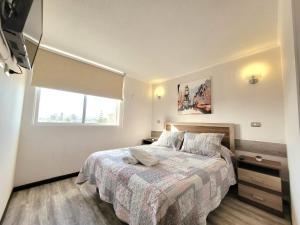 拉塞雷纳Condominio Pacífico III的一间卧室设有一张大床和一个窗户。